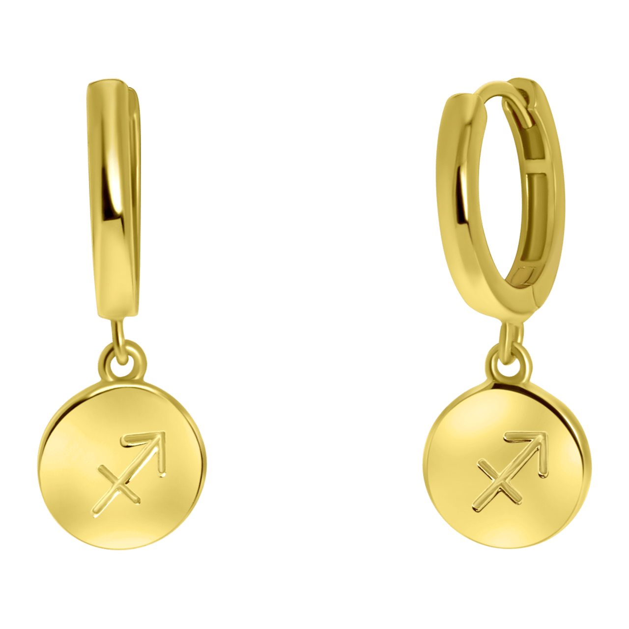 Zilveren oorbellen gold disc sterrenbeeld