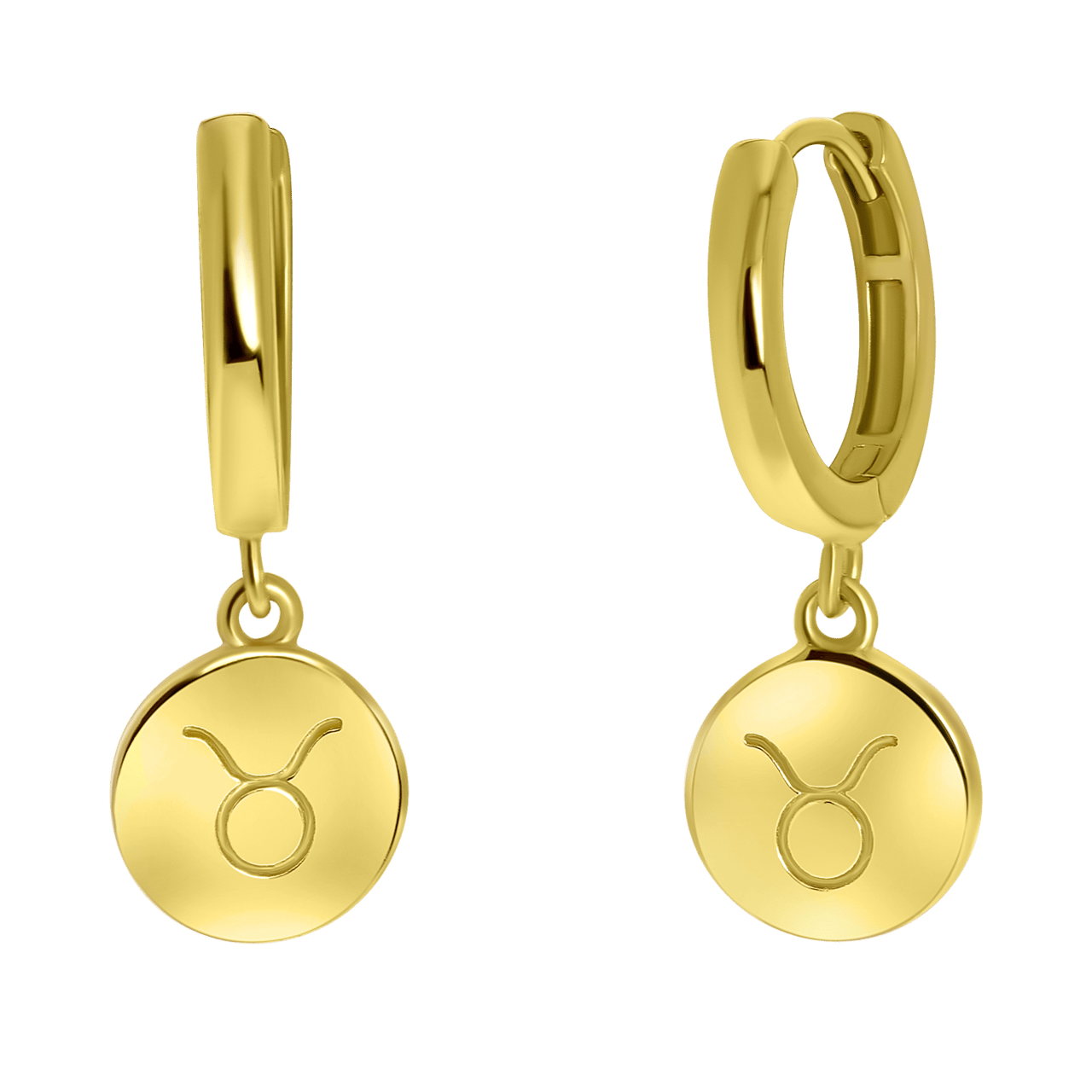 Zilveren oorbellen gold disc sterrenbeeld