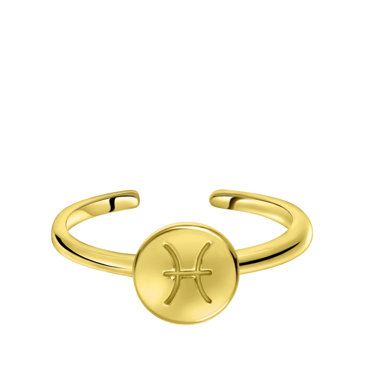 Zilveren ring disc gold sterrenbeeld