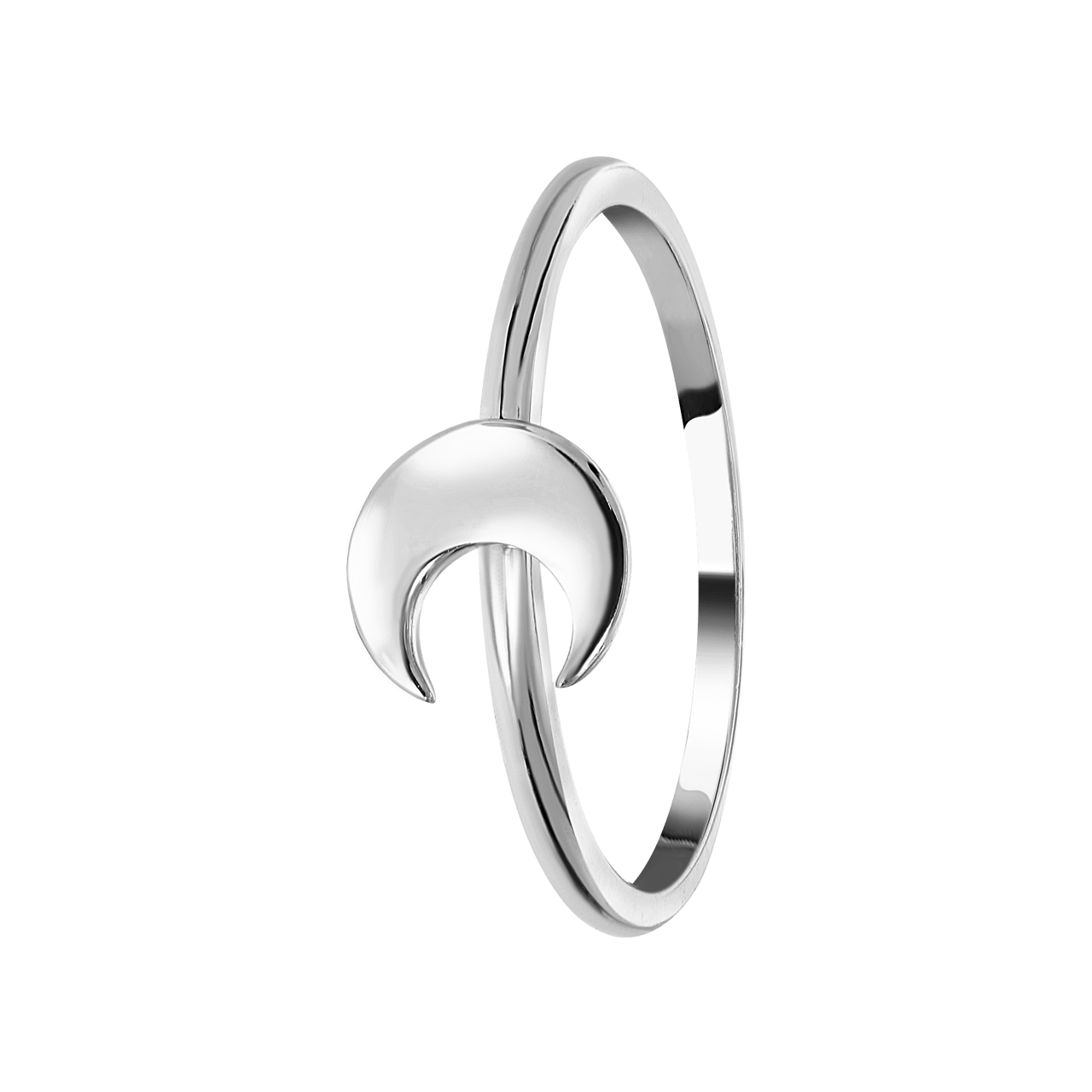 Zilveren ring galaxy maan