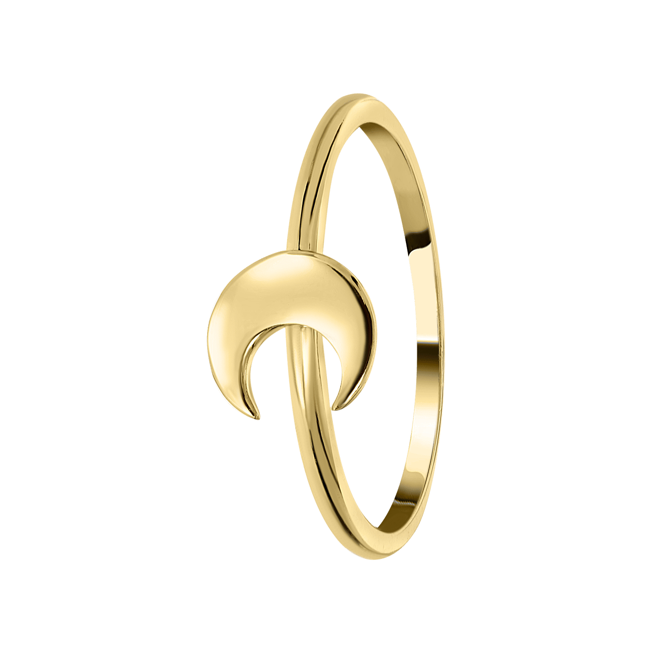 Zilveren ring goldplated galaxy maan