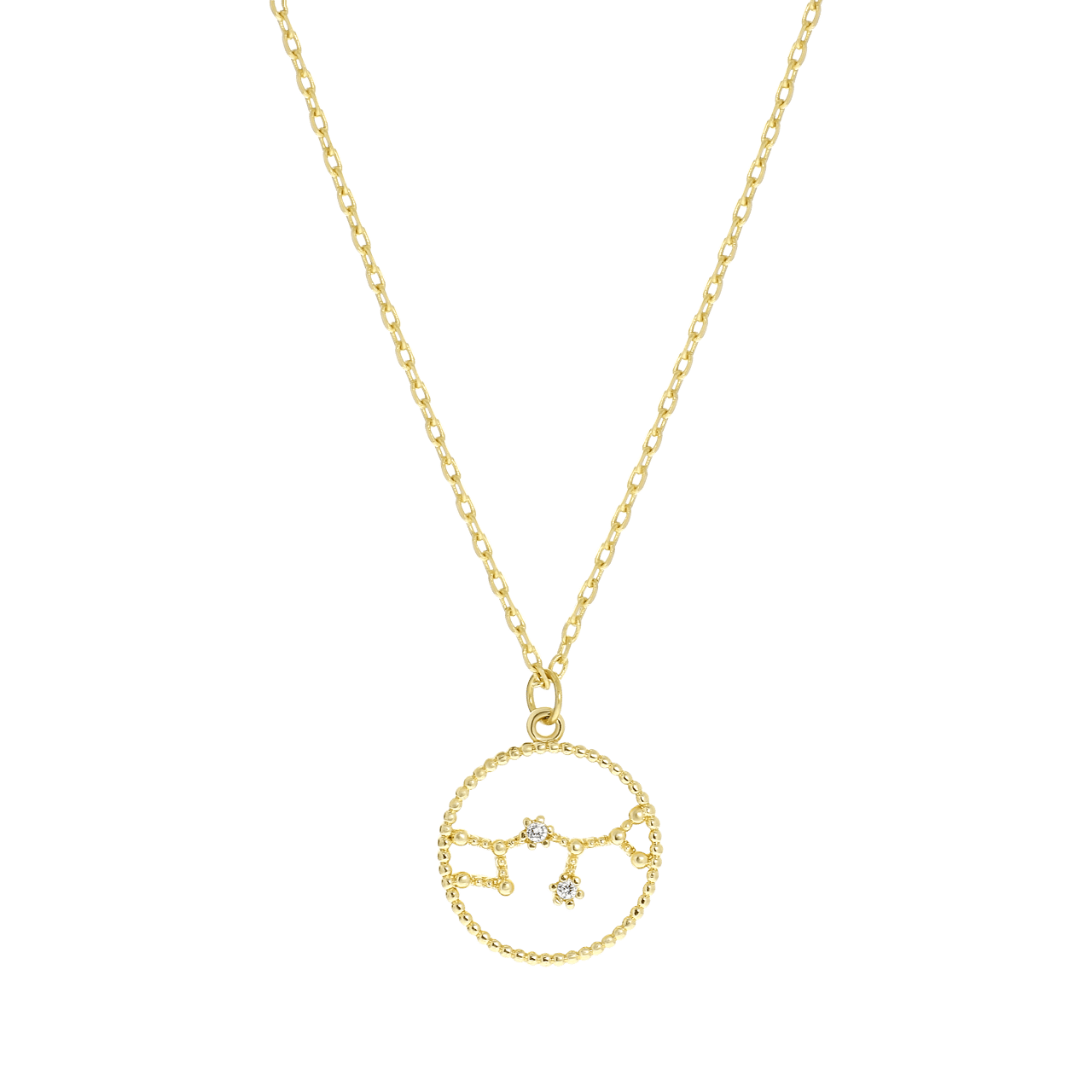 Bijoux goudkleurige ketting met hanger sterrenbeeld Waterman voor dames