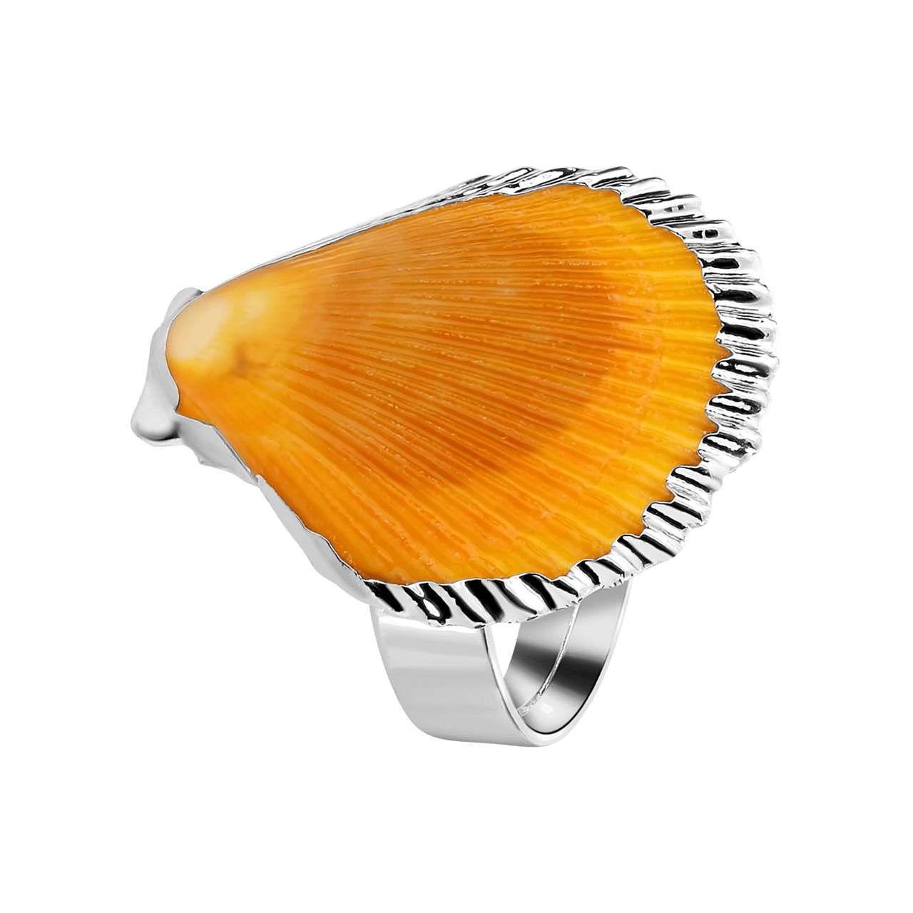 Zilverkleurige bijoux ring met schelp