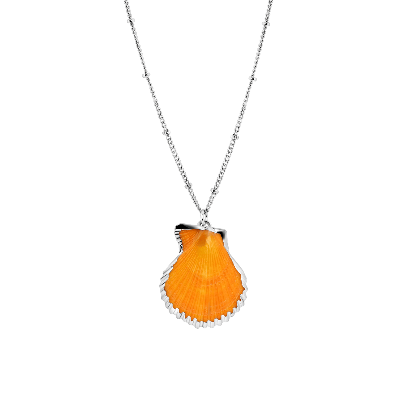 Zilverkleurige bijoux ketting met schelp