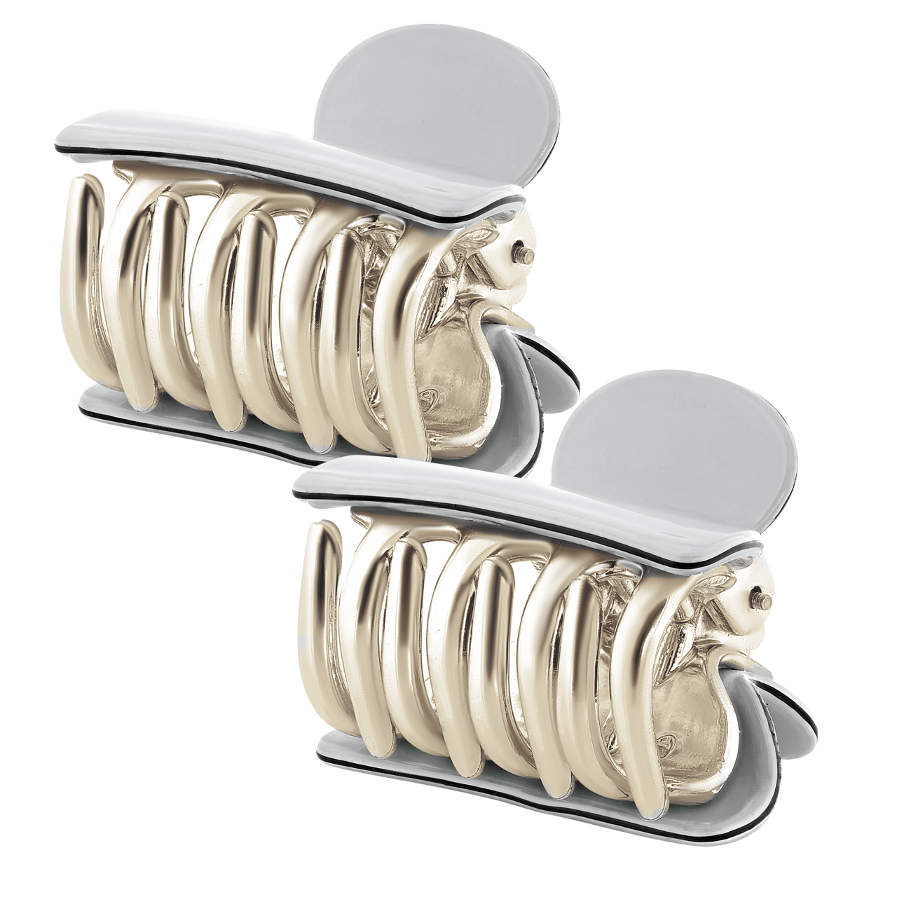 Set van 2 witte haarklemmetjes