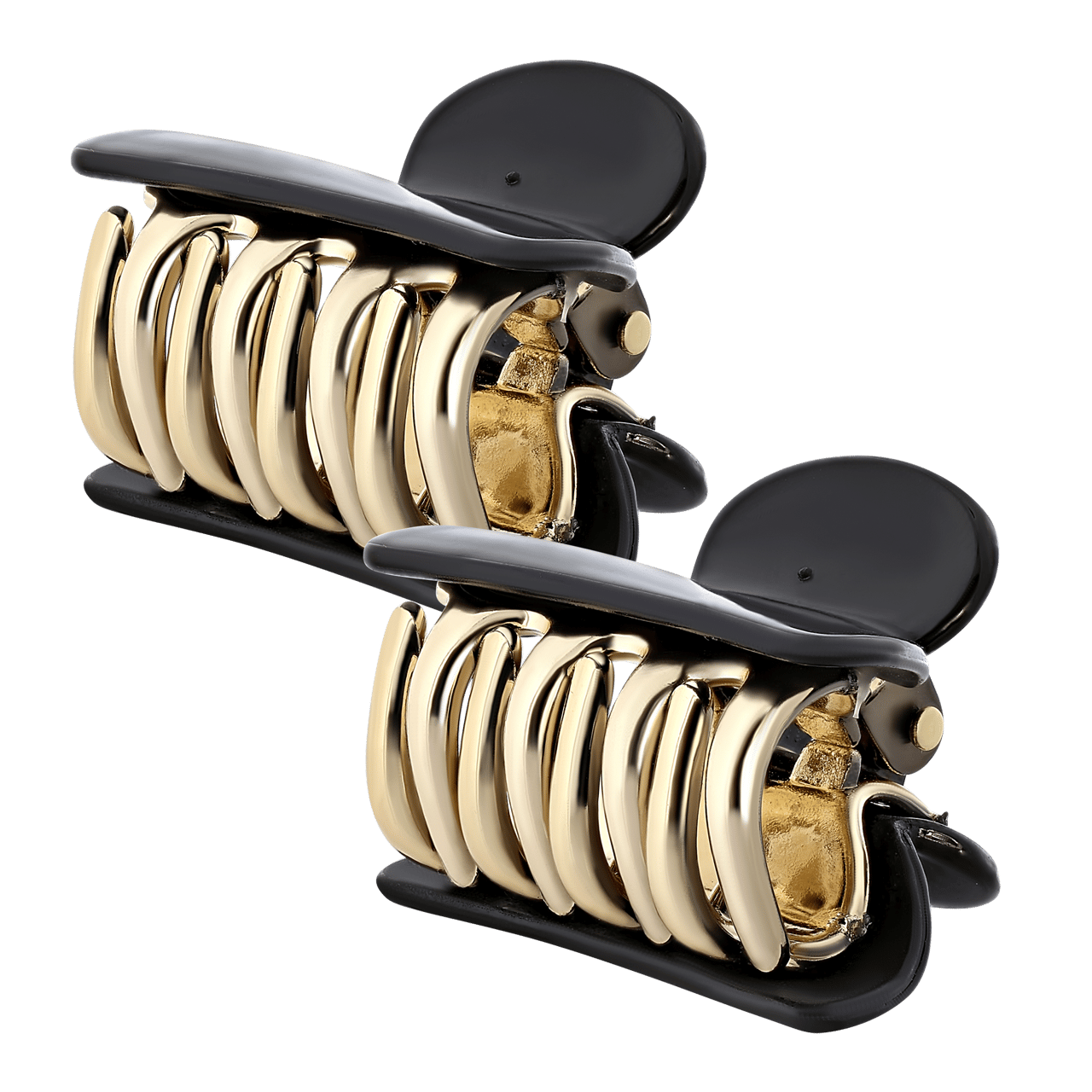 Set van 2 zwarte haarklemmetjes