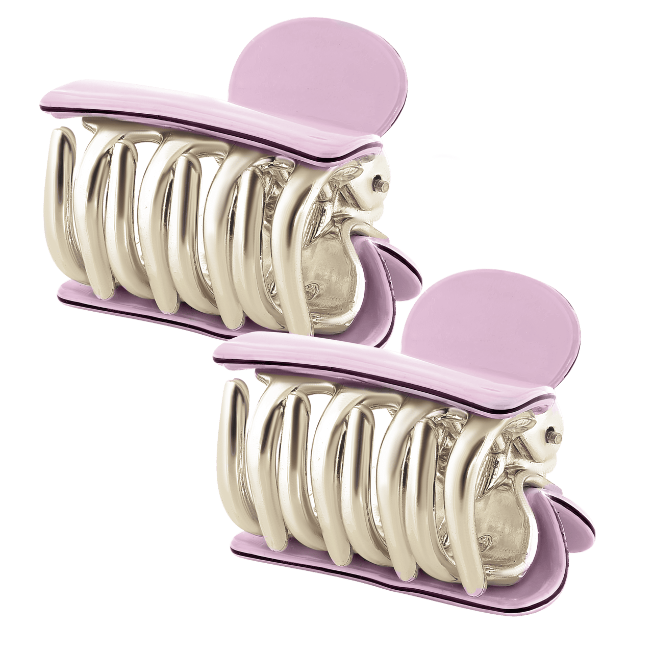 Roze haarklemmetjes set van 2 voor dames