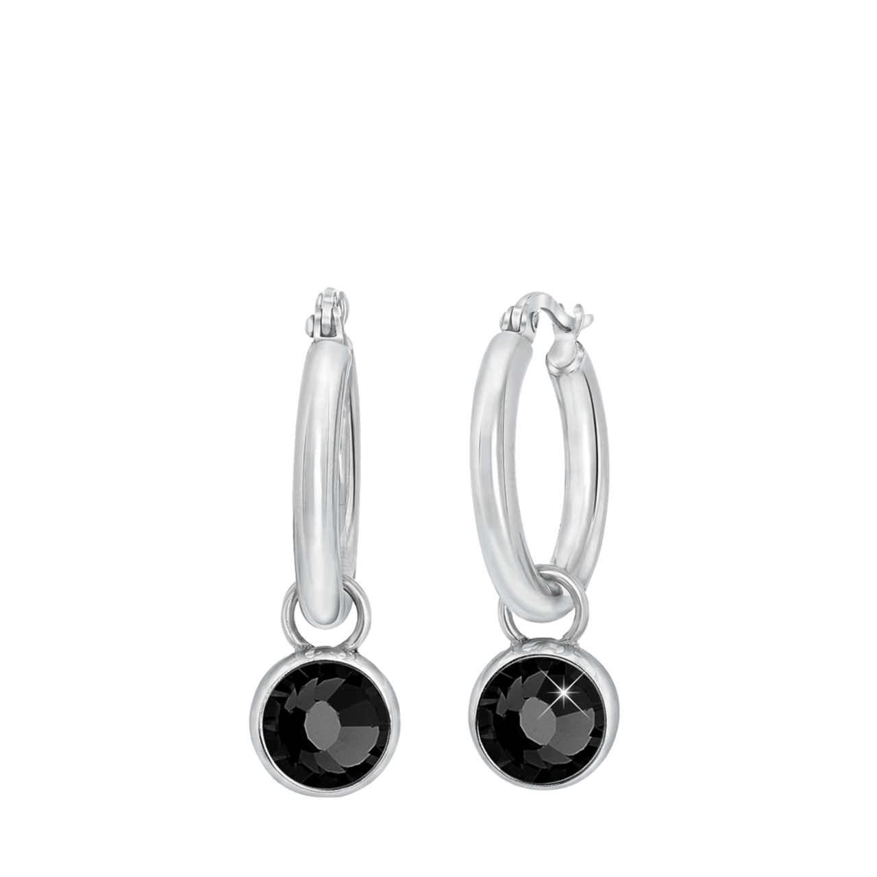 Stainless steel oorbellen met zwarte zirkonia