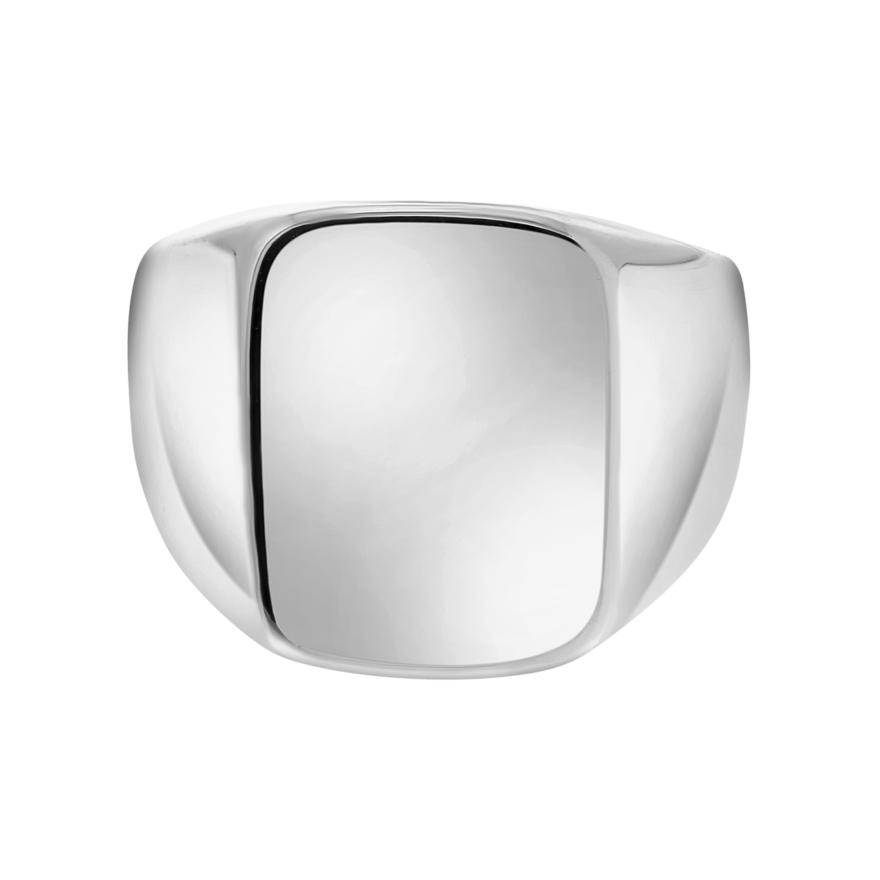 Zilverkleurige bijoux zegelring
