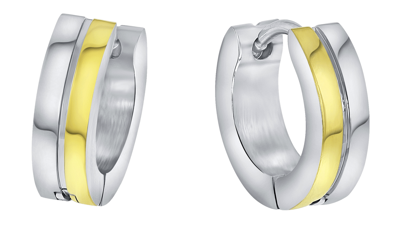 Stainless steel goldplated oorringen voor dames