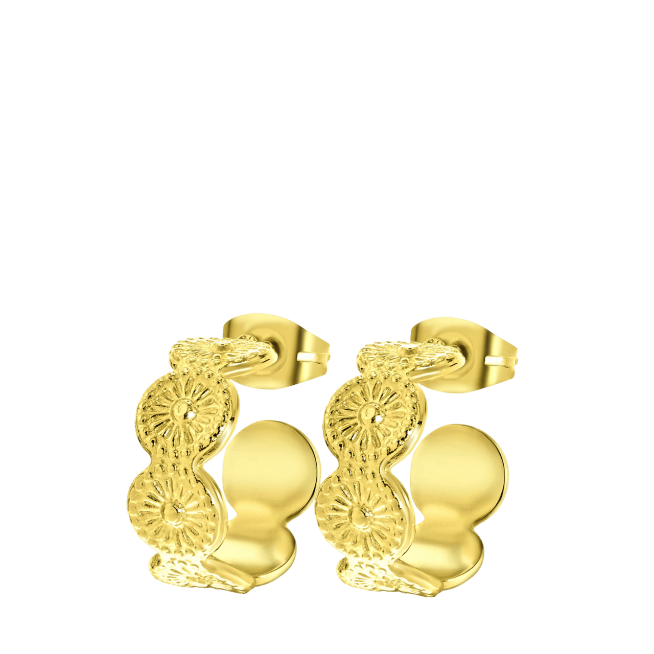 Stainless steel goldplated oorringen voor dames