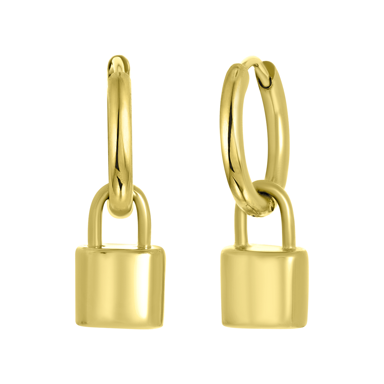 Stainless steel goldplated oorringen voor met hanger dames