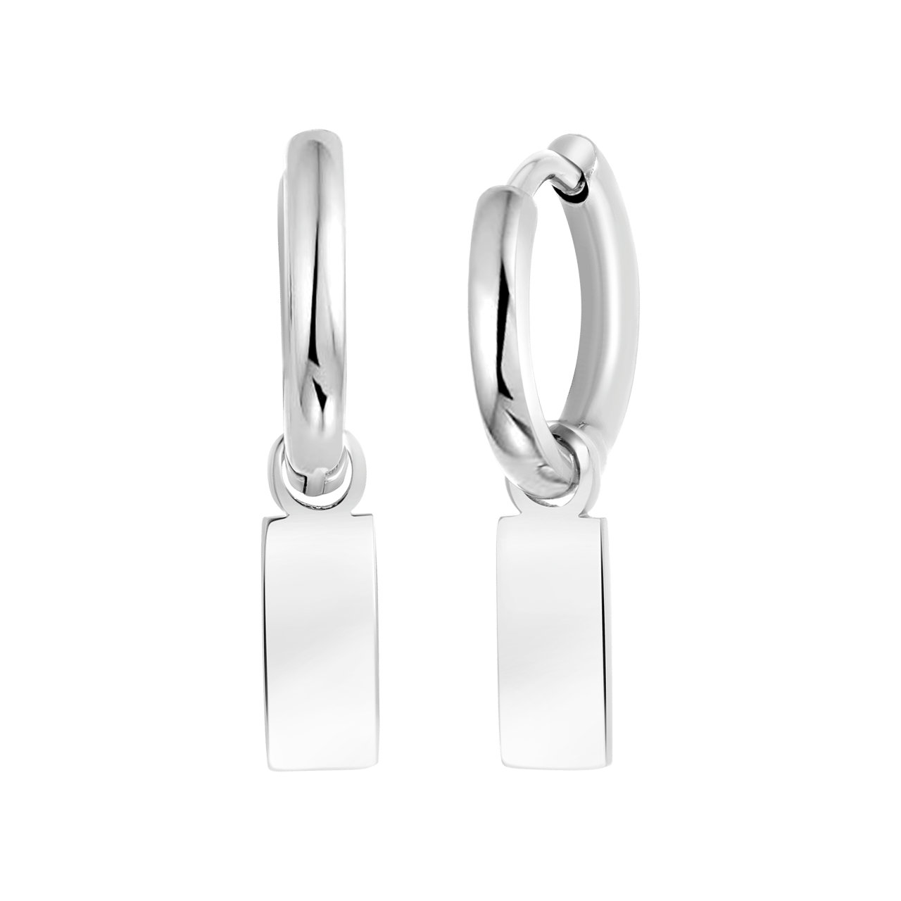 Stainless steel oorringen met hanger bar