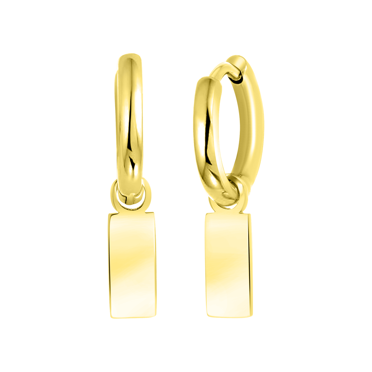 Stainless steel oorringen goldplated met hanger bar
