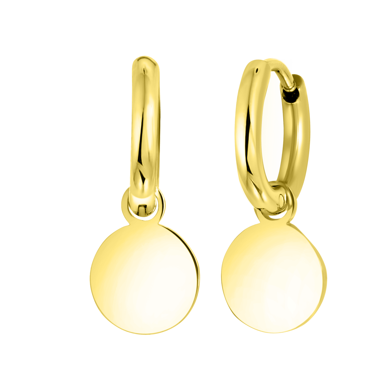 Stainless steel oorringen goldplated met hanger disc
