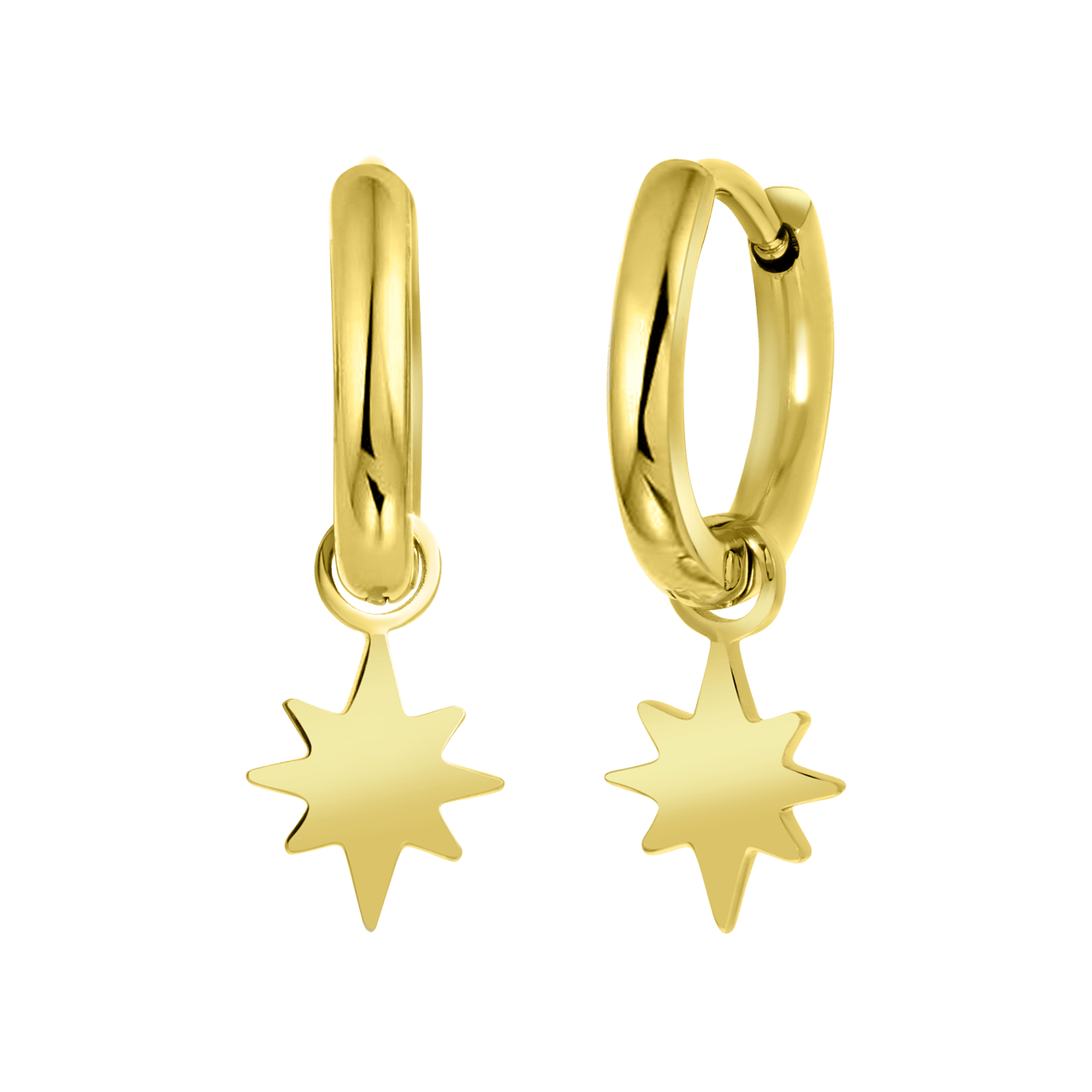 Stainless steel goldplated oorringen met hanger ster voor dames