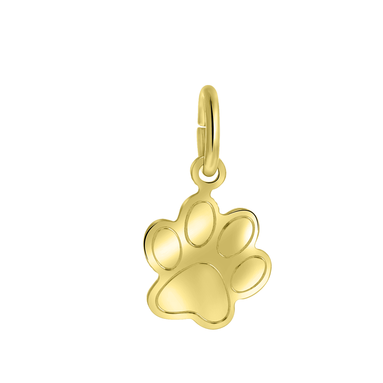 Zilveren goldplated hanger