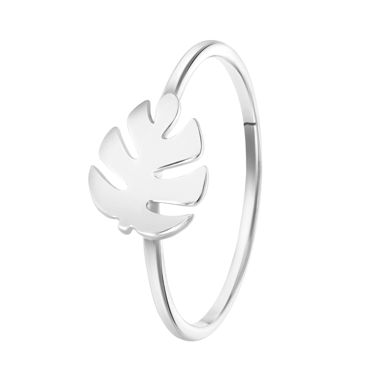 Zilveren ring blad