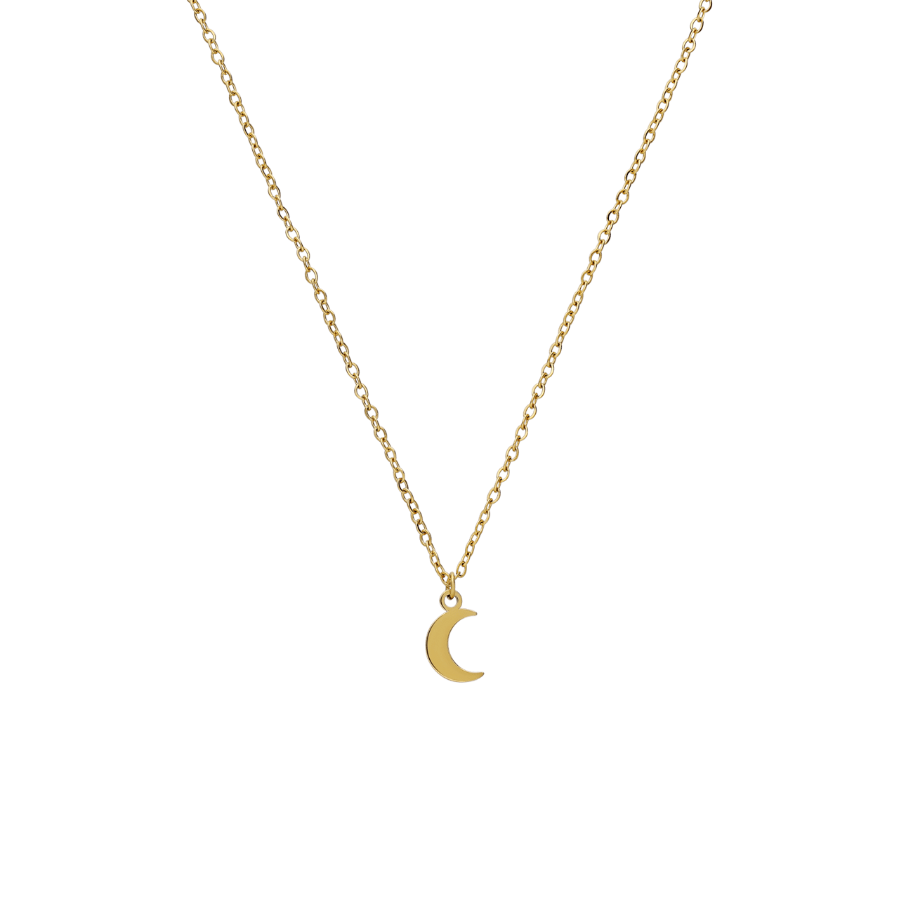 Stainless steel goldplated ketting met hanger voor dames