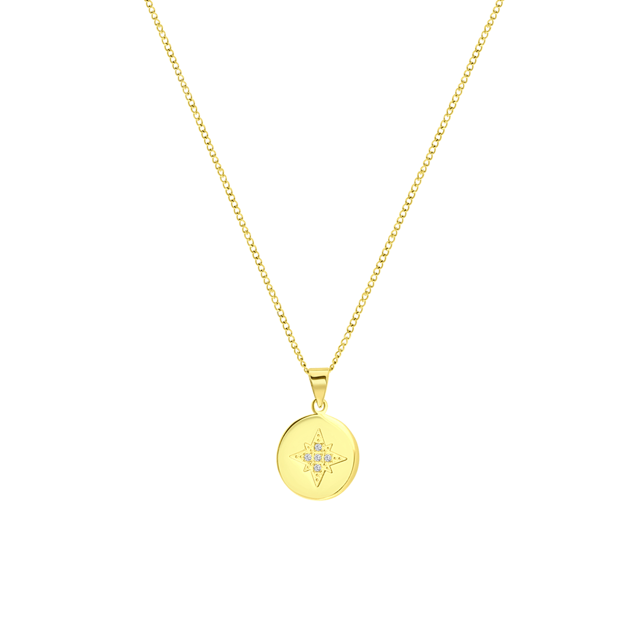 Stainless steel goldplated ketting met hanger munt met zirkonia voor dames