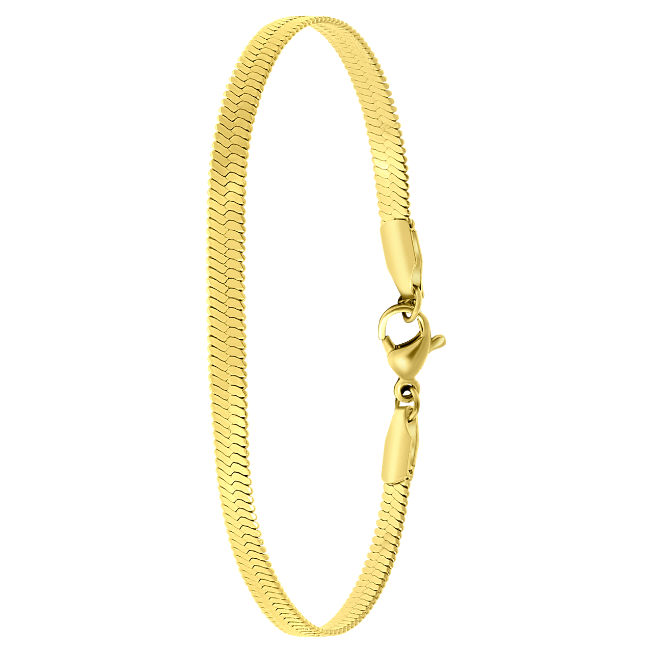Stainless steel goldplated ketting met hanger munt voor dames