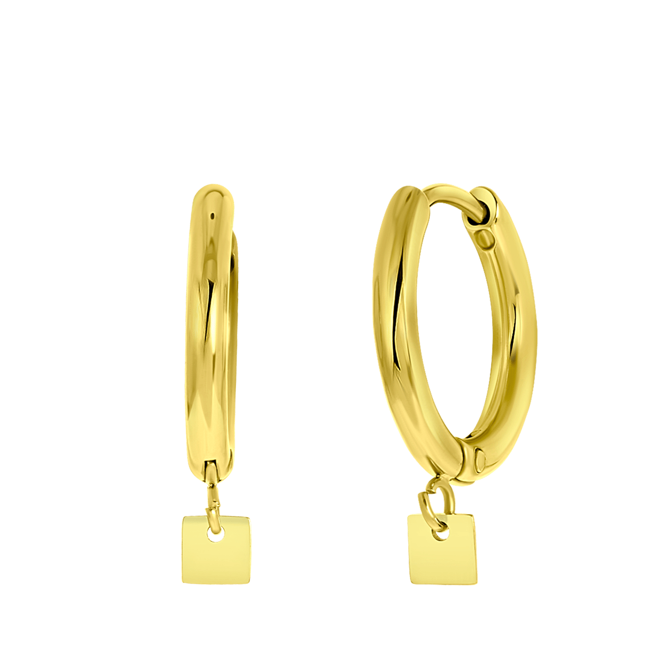Stainless steel goldplated oorringen voor met hanger dames