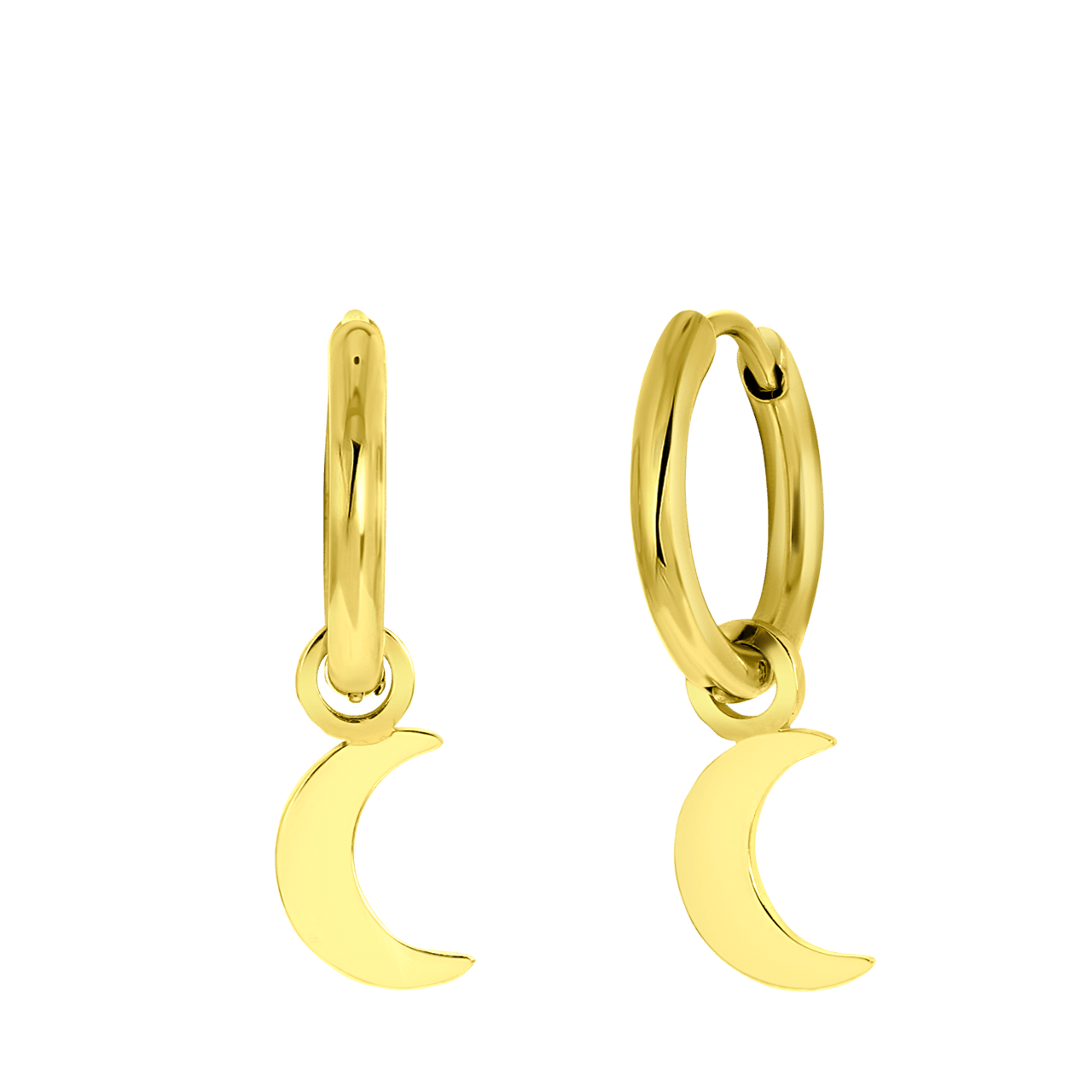 Stainless steel goldplated oorringen voor met hanger dames