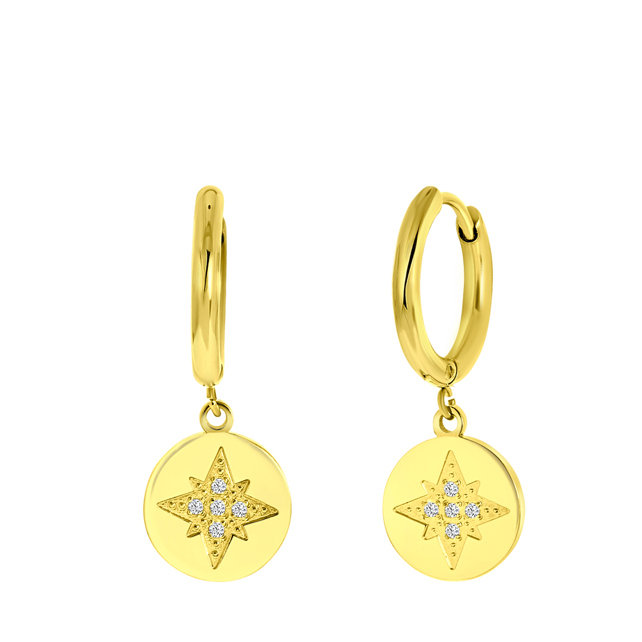 Stainless steel goldplated oorringen met zirkonia voor dames