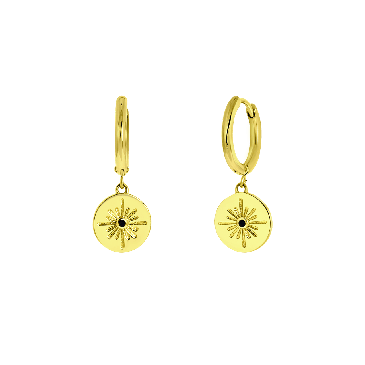 Stainless steel goldplated oorringen voor dames