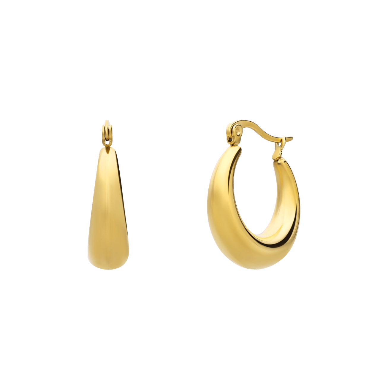 Stainless steel goldplated oorringen voor dames