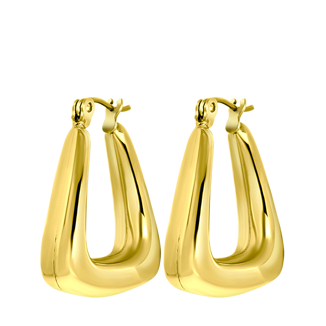 Stainless steel goldplated oorringen voor dames