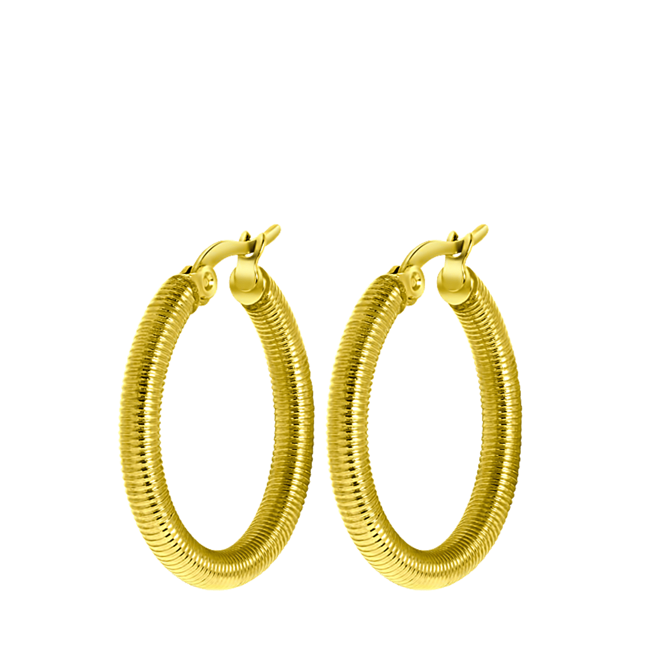 Stainless steel goldplated oorringen voor dames