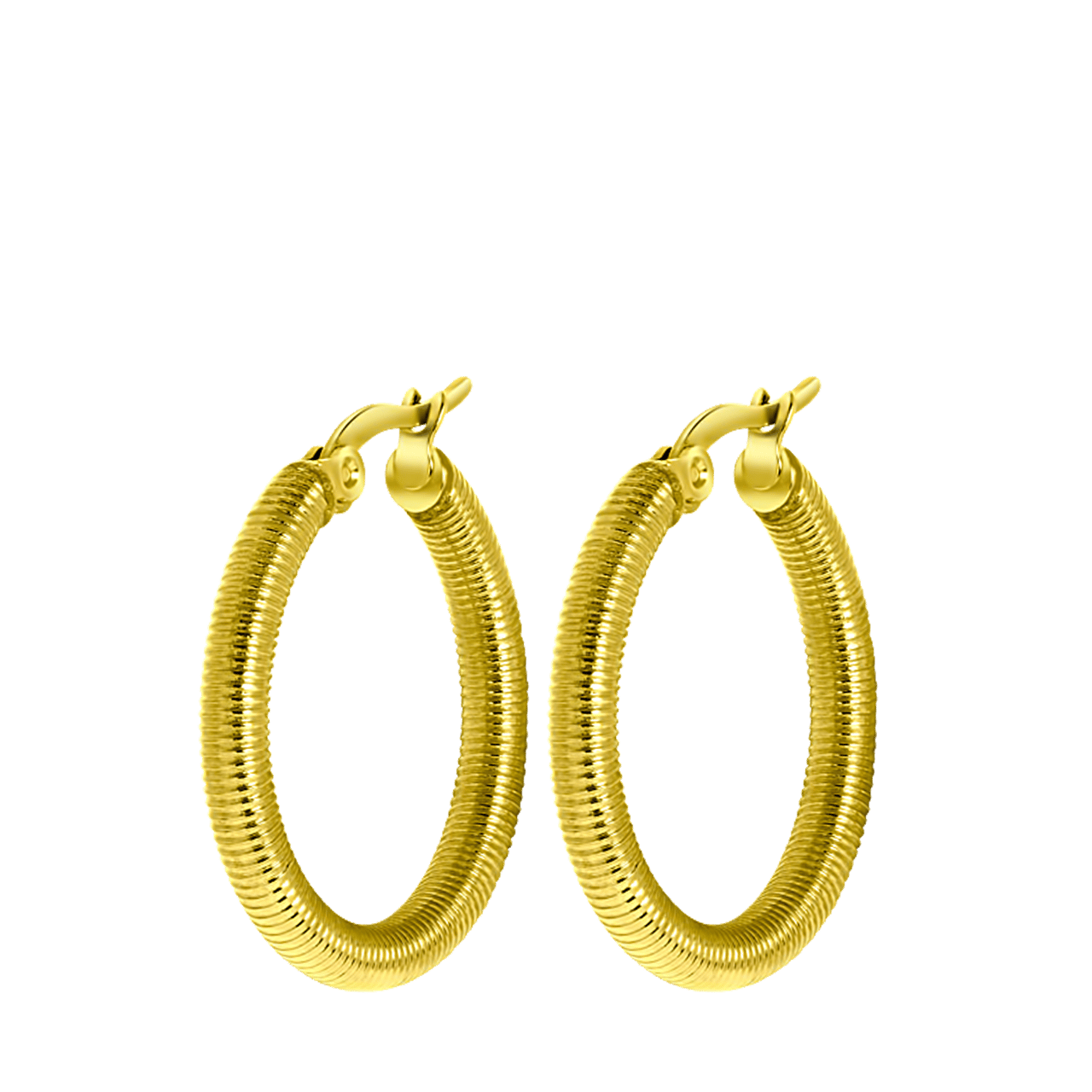 Stalen goldplated oorringen voor dames