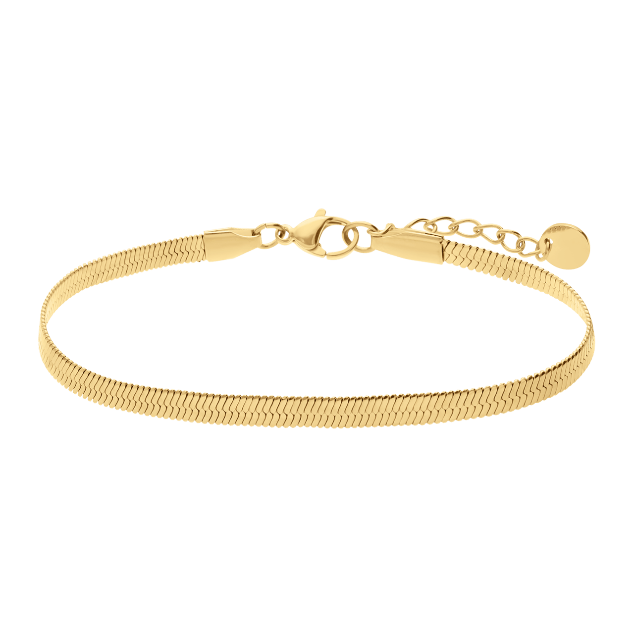 Stainless steel goldplated fantasiearmband voor dames
