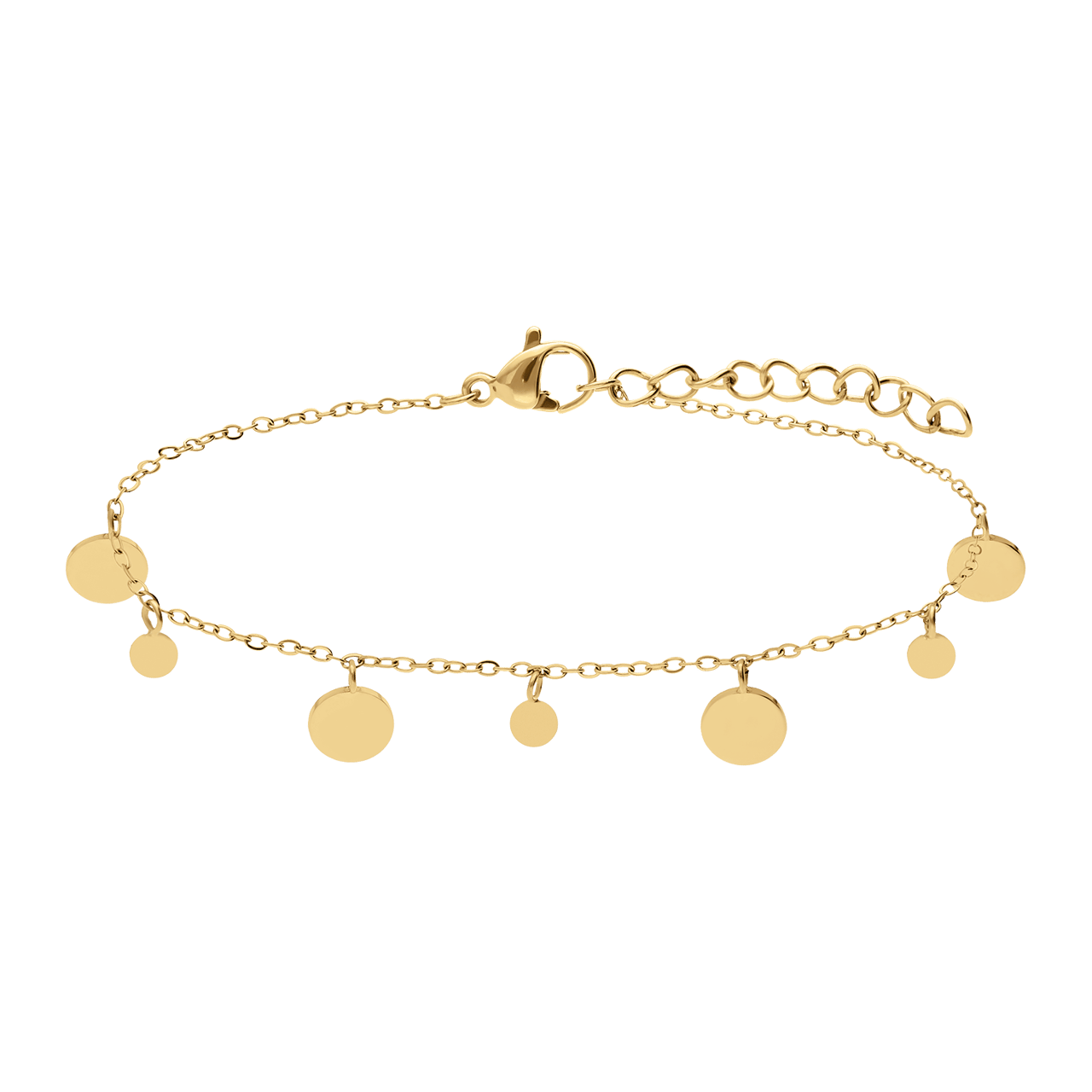 Stainless steel goldplated fantasiearmband munt voor dames