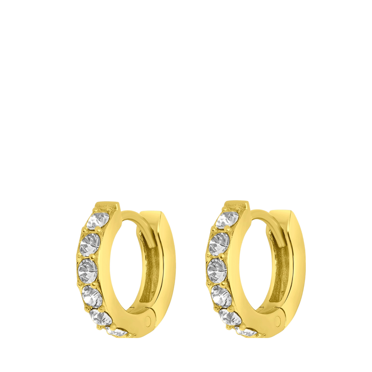 Zilveren goldplated oorringen met geboortesteen voor dames