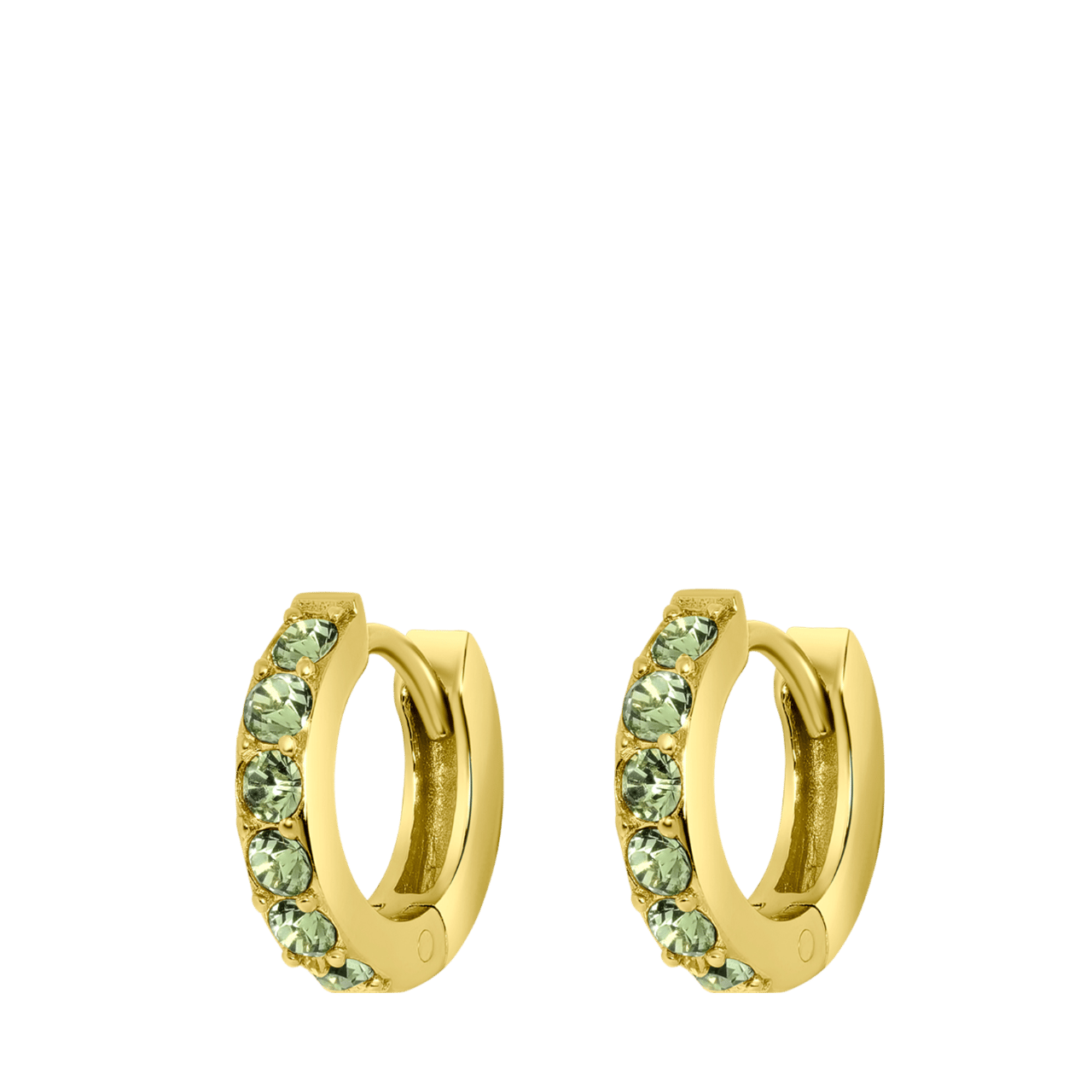 Zilveren goldplated oorringen met geboortesteen voor dames