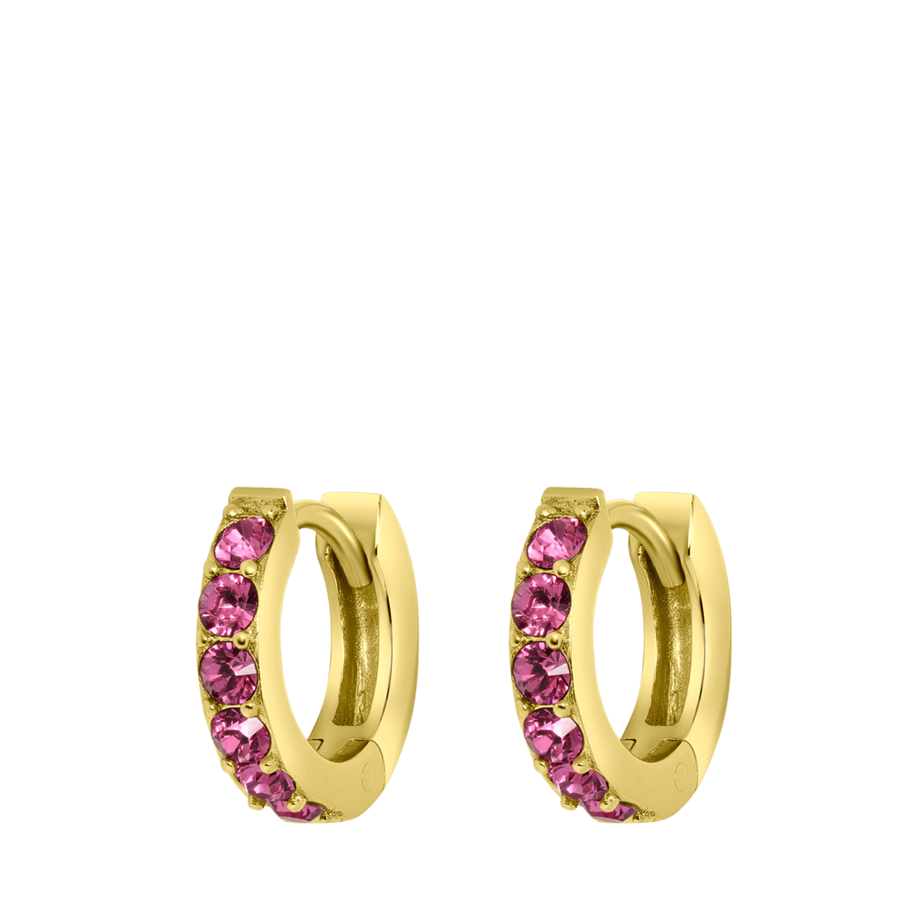 Zilveren goldplated oorringen met geboortesteen voor dames