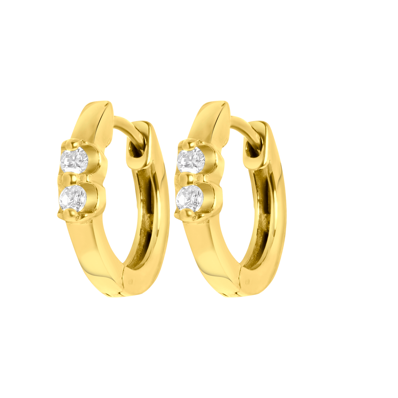 Stainless steel goldplated oorringen met zirkonia voor dames