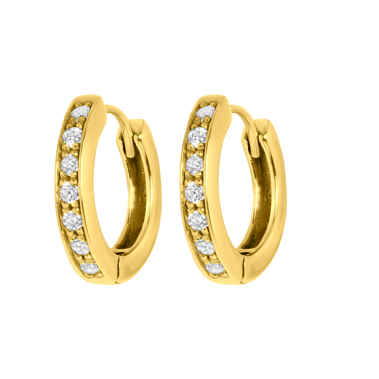 Stainless steel goldplated oorringen met zirkonia voor dames