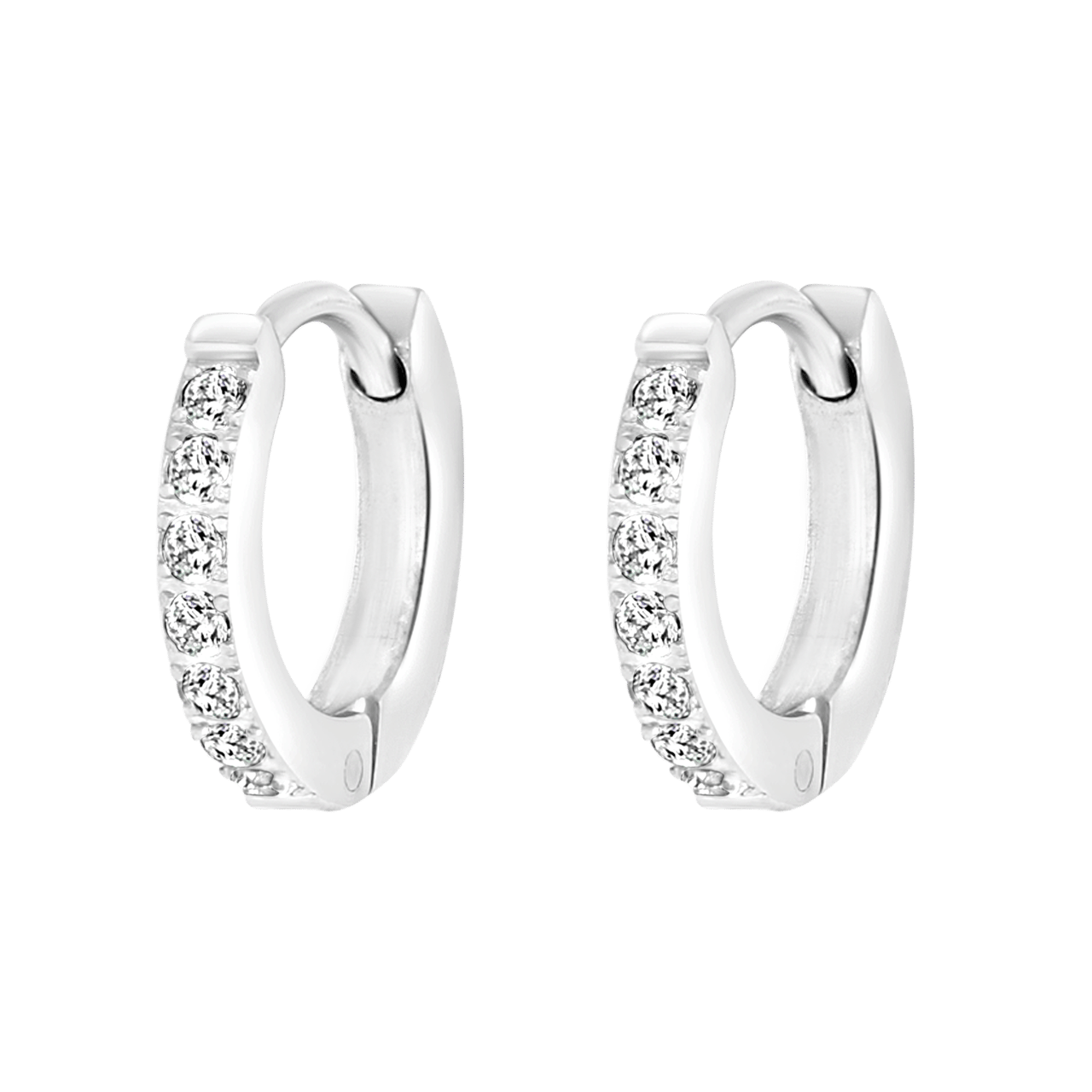 Stainless steel oorbellen met zirkonia steentjes