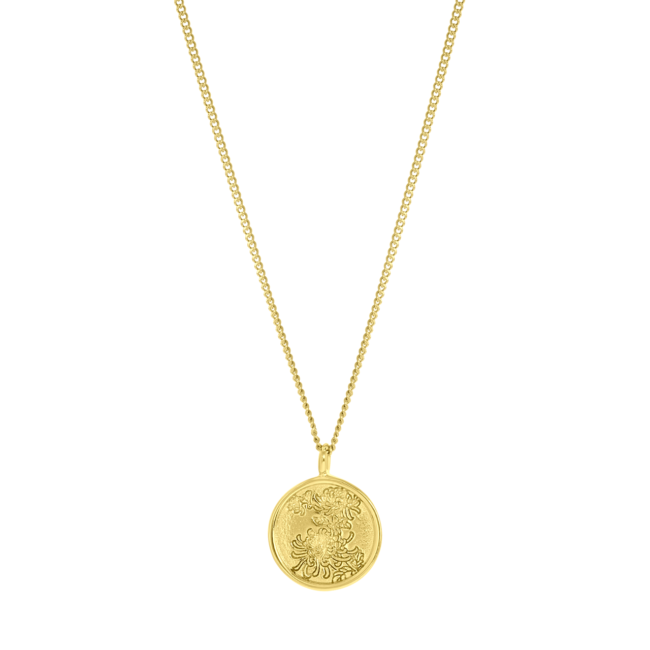 Stalen goldplated ketting met munt voor dames