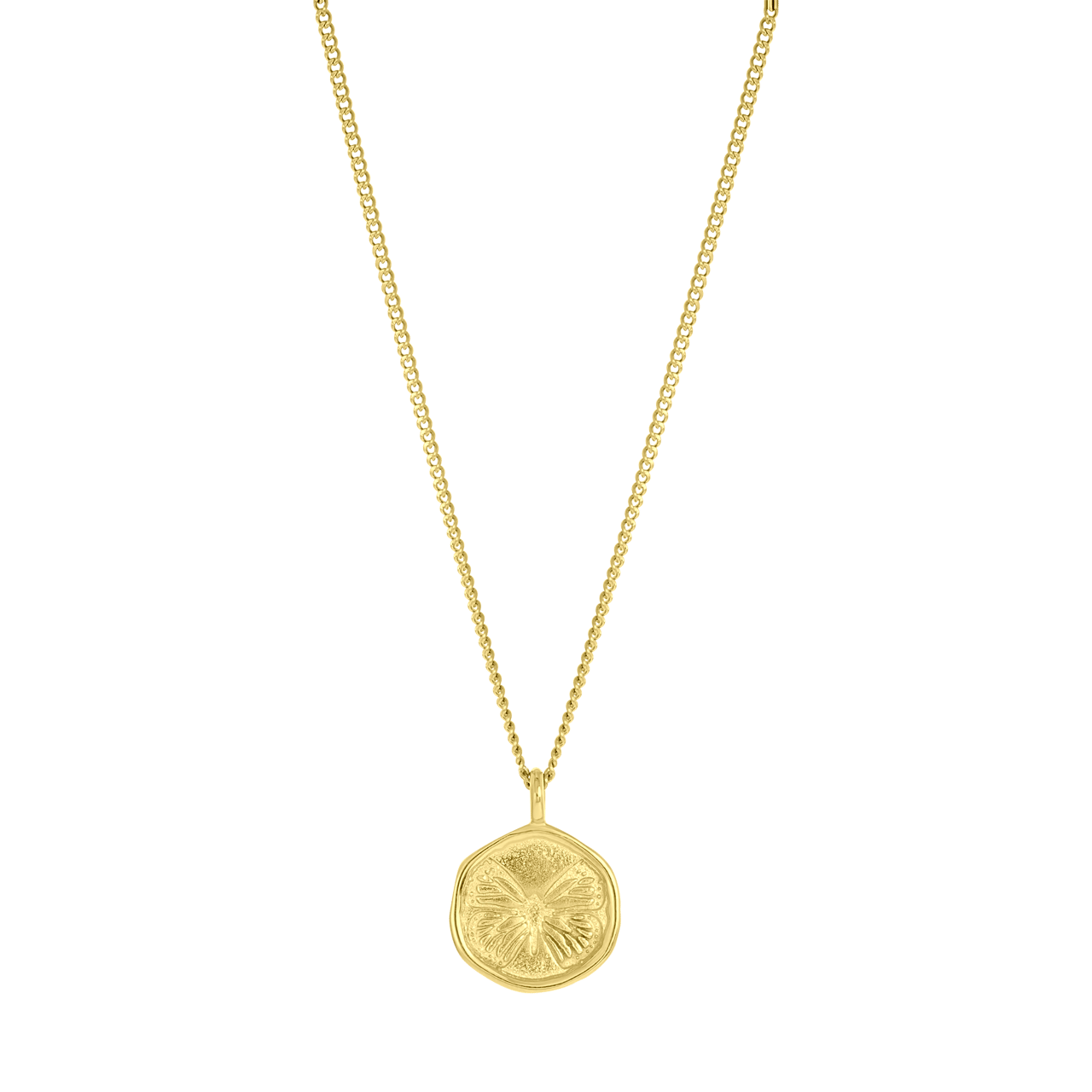Stainless steel goldplated ketting met munt voor dames