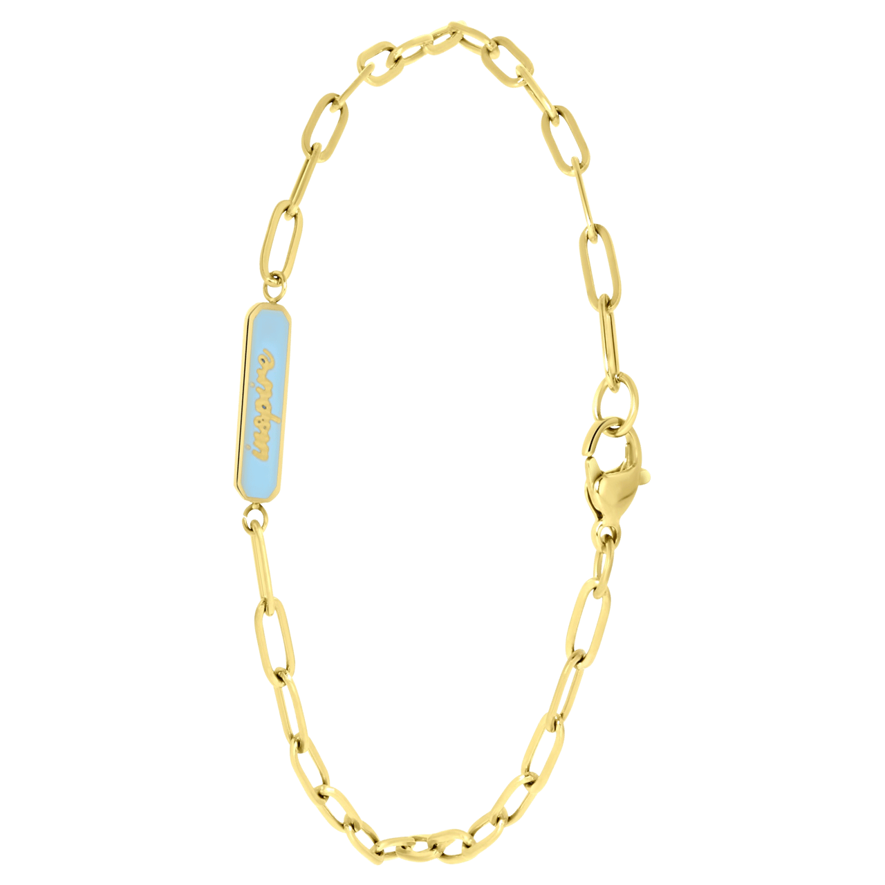Stainless steel goldplated fantasiearmband met hanger met emaille voor dames
