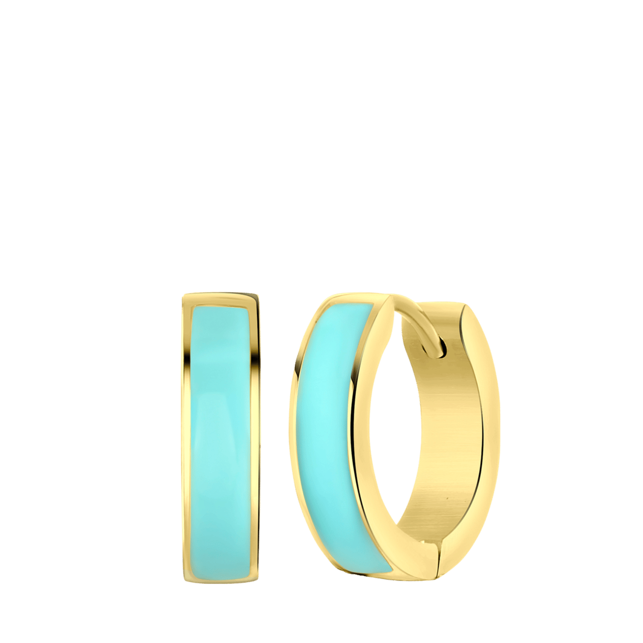 Stainless steel goldplated oorringen met emaille mint voor dames