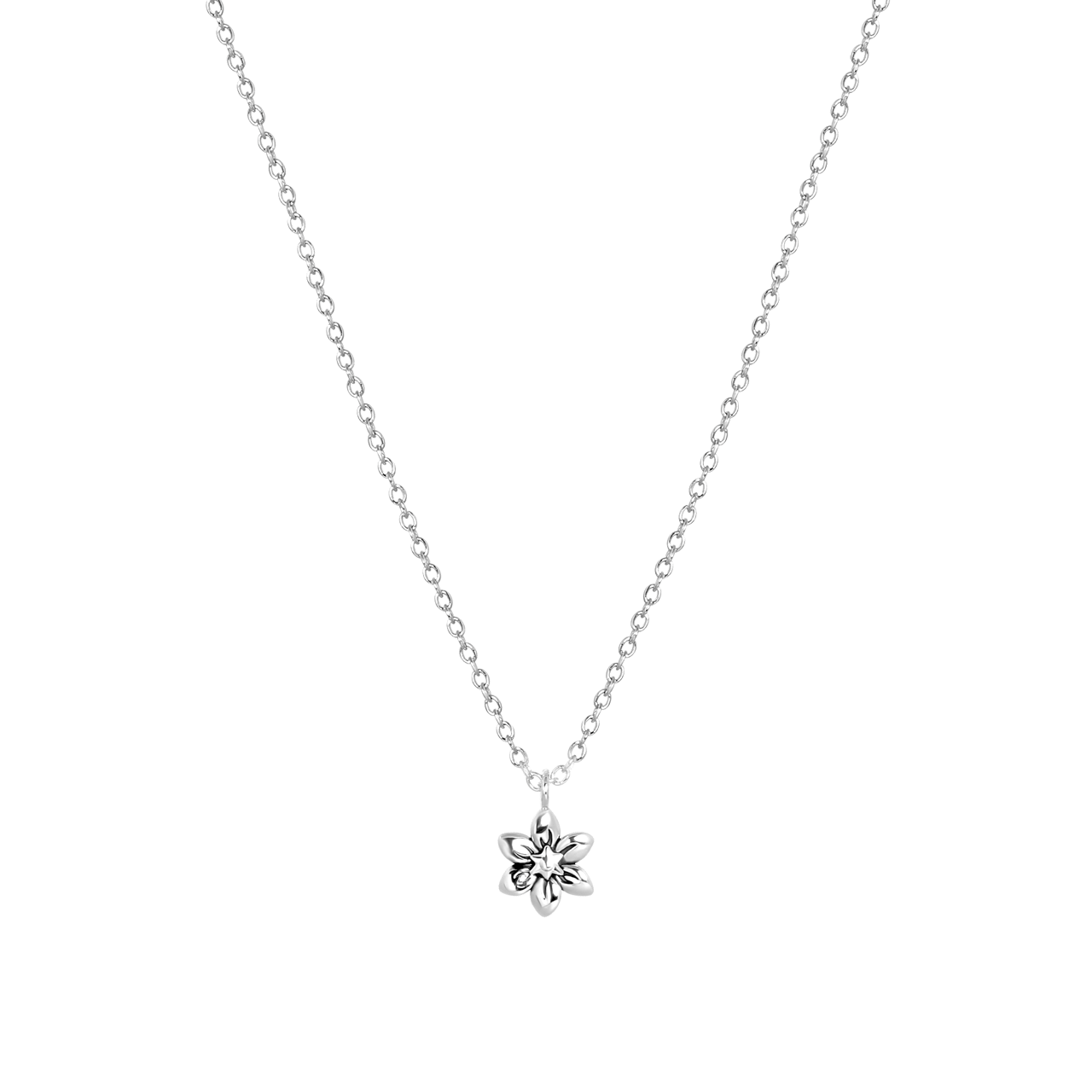 Zilveren ketting&hanger geboortebloem