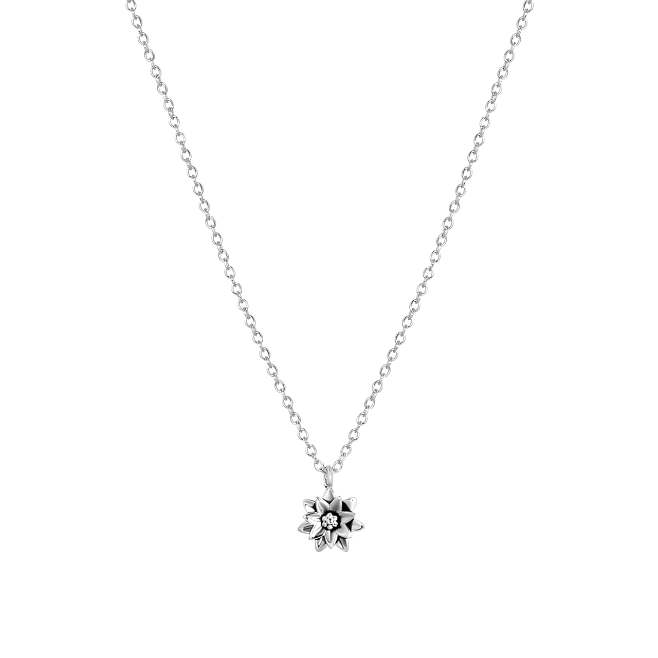 Halskette & Anhänger, 925 Silber, Geburtsblume