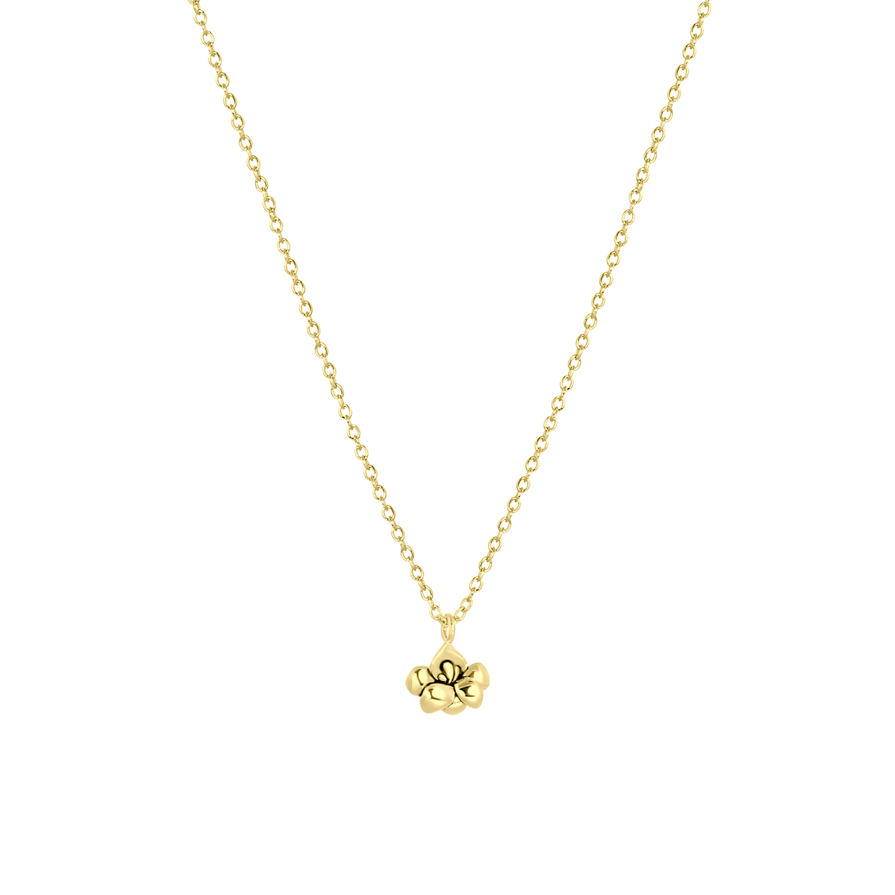 Zilveren goldplated ketting&hanger geboortebloem