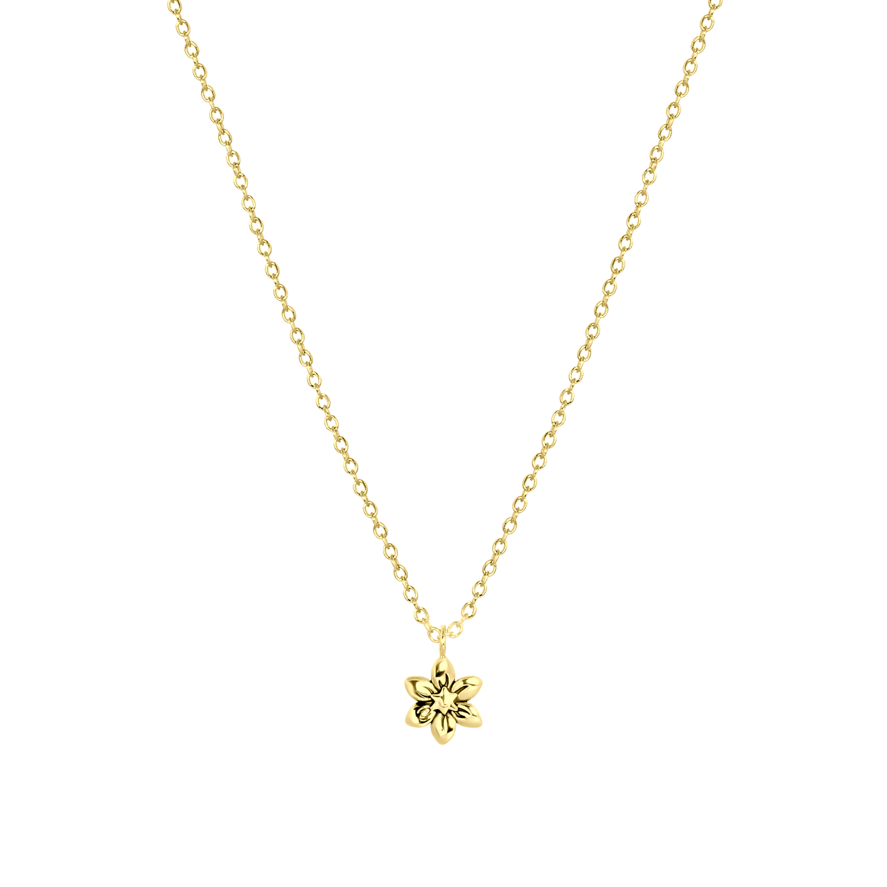 Zilveren goldplated ketting&hanger geboortebloem