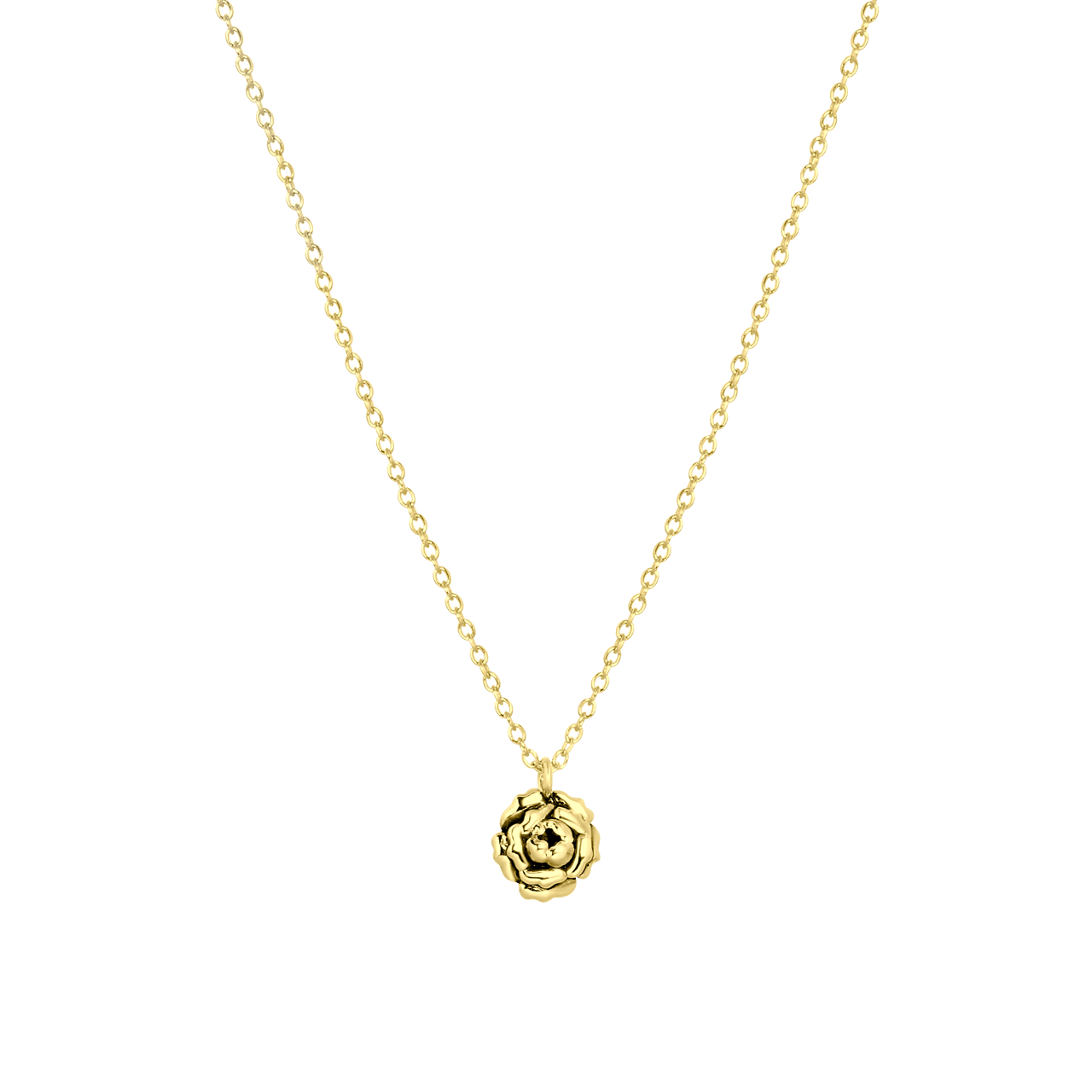 Zilveren goldplated ketting met hanger geboortebloem voor dames